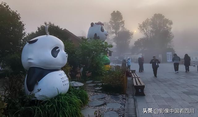 四川雅安：碧峰峡风光旖旎引客来