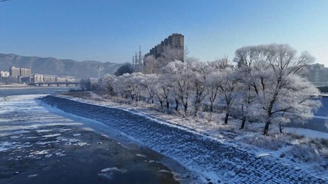 我市绥芬河畔现雾凇景观