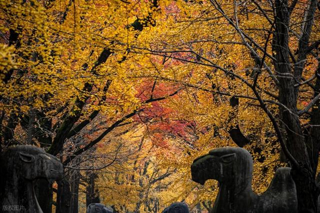 淡季错峰旅行，接下来两个月，适合去的6个好地方，美景如画