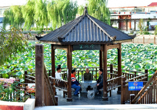 田金昌——任丘印象