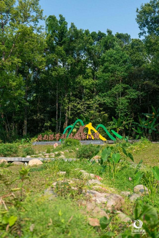 壮美五指山，我要给你五颗星