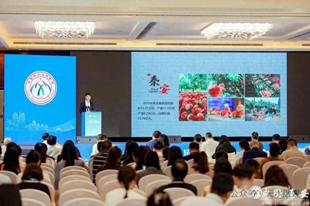 全国创新案例！天水入选！