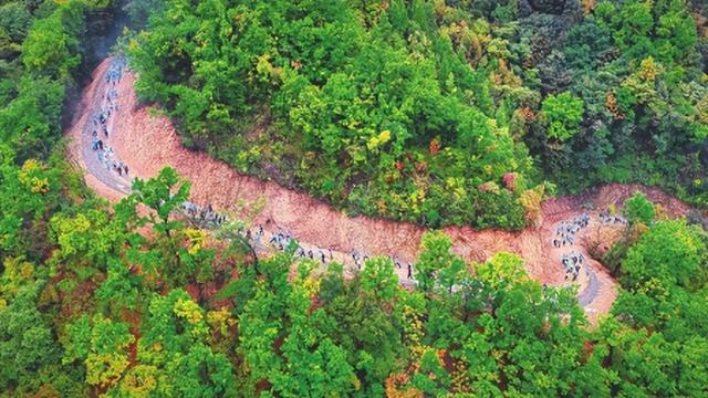 古县：乡野新韵醉游人