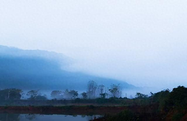 晨雾翩跹入画来 赤壁黄狮畈冬景藏诗意