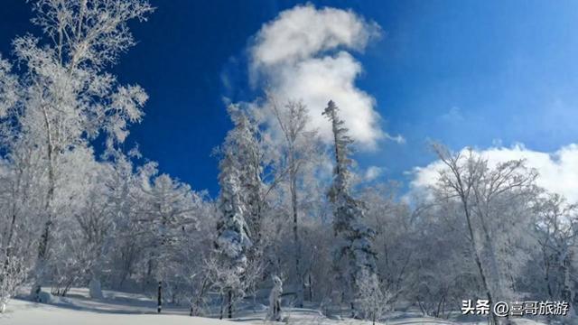 穿越林海雪原，抵达龙江之巅：大秃顶子山冰雪奇缘