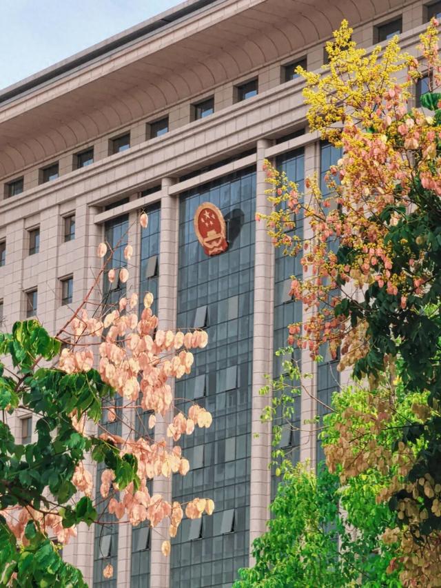 秋天的陇南，有什么好看的？