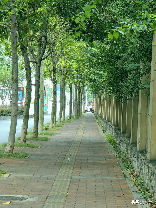 柳州记：半城风云半城烟