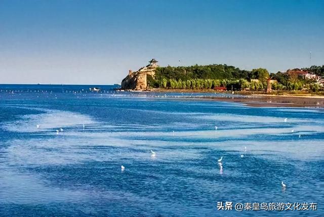 秦皇岛鸽子窝景区发布最新公告！