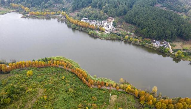 天眼影像｜黔西：湿地公园冬景美