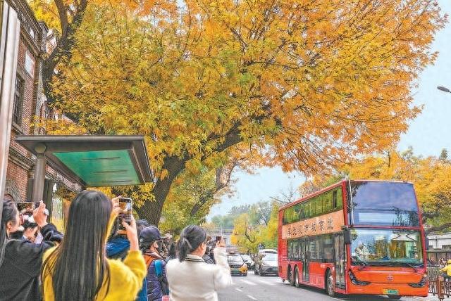 增彩延绿、落叶缓扫、天公作美让彩叶观赏期延长一周 网友感叹——“谁能比北京更懂秋天？”