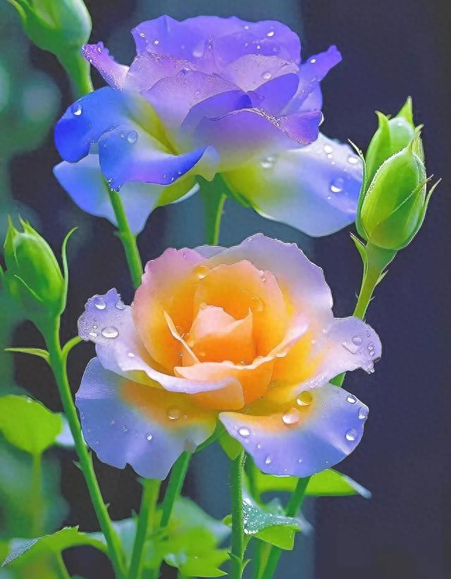 微信上这样回复你的人，其实是看不起你	，不必深交了