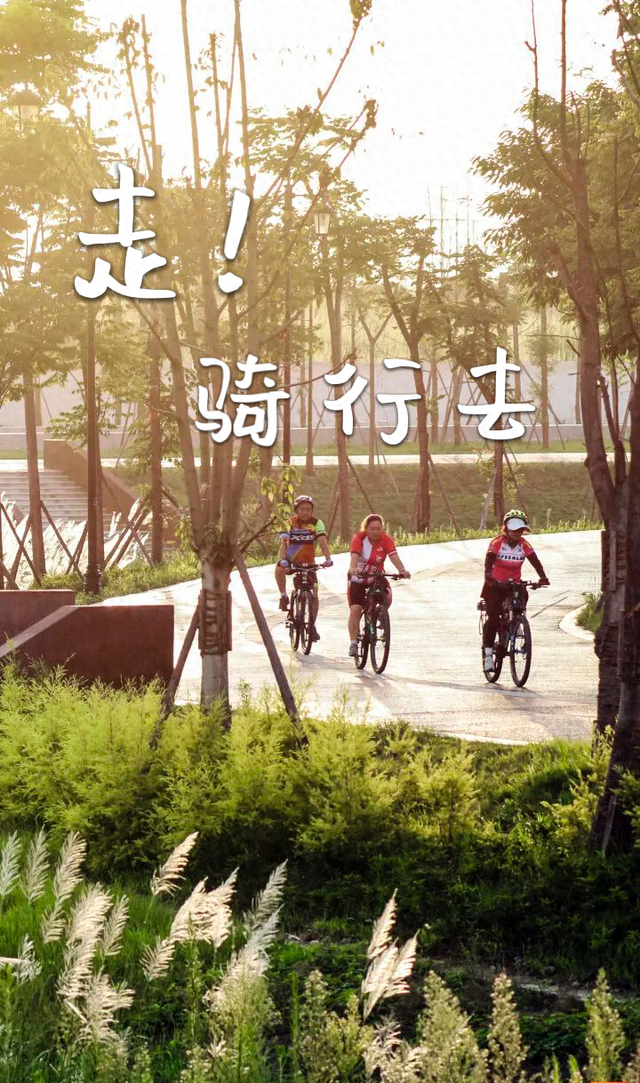 骑进青白江的秋天！这份绿道打卡攻略快收藏
