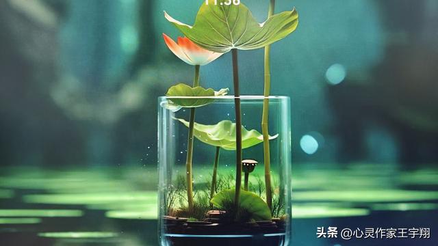 不追他人脚步，平凡亦有光芒，活成自己的模样