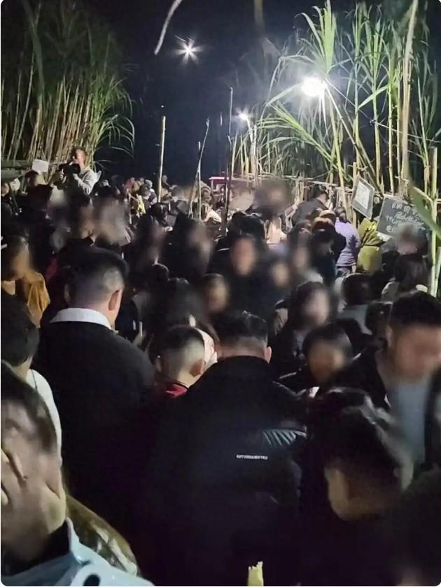 听·见丨“偷甘蔗”爆火，为什么我们会爱上“偷感”游戏