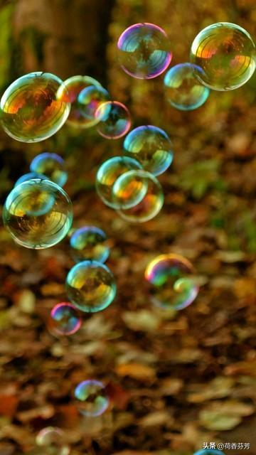 光影零乱是什么意思啊（三年级语文下册第20课肥皂泡背记清单）