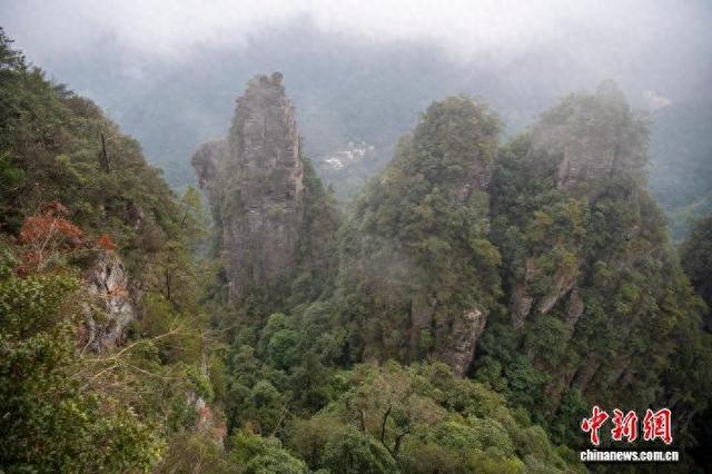 广西大瑶山盘王界景区云雾缭绕如水墨画