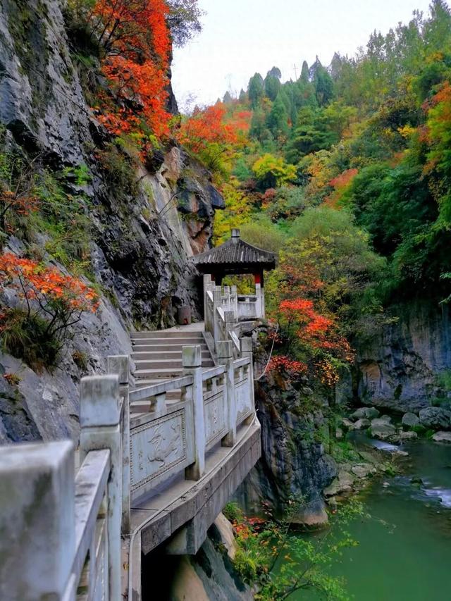 撷英 | 贾婉雪：西狭随笔（散文）