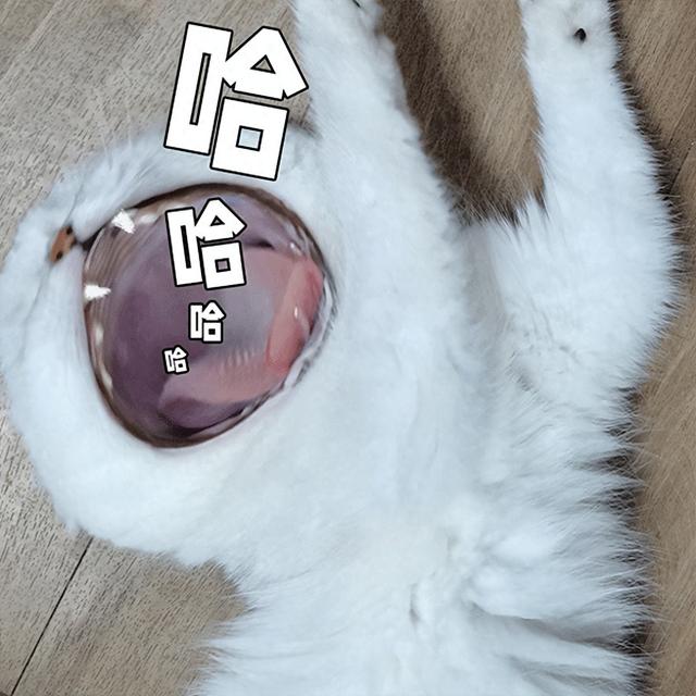 兰州坐高铁最快30分钟直达！超好吃的13个旅游城市推荐！