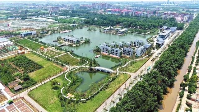 区县新闻丨君山鸟语林：从荒芜之地到生态热土的“岳阳答卷”