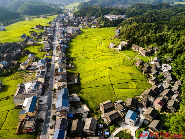 侗寨秋景入画来