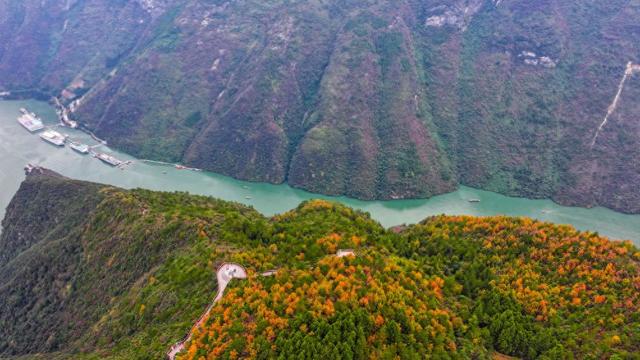 初冬美景引客来