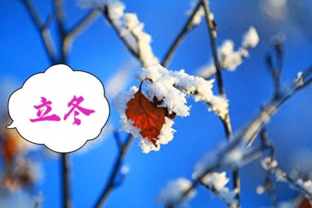 冬天冷不冷，就看立冬，今天立冬，今年冬天会冷到哭吗？