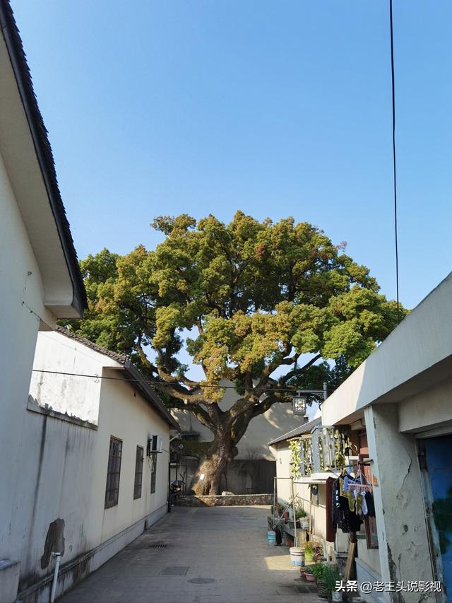 浙江上虞驿亭镇，杭州师范大学第一任校长的故乡
