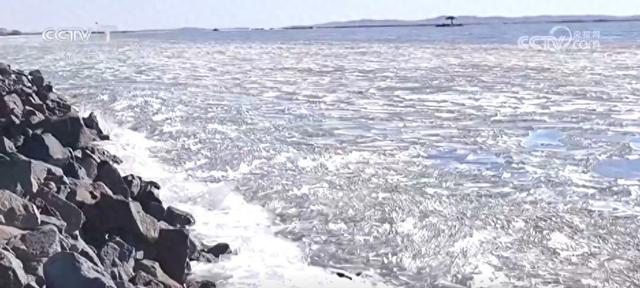 多地冬日美景激发冰雪活力 “冷”资源点燃文旅市场“热”消费