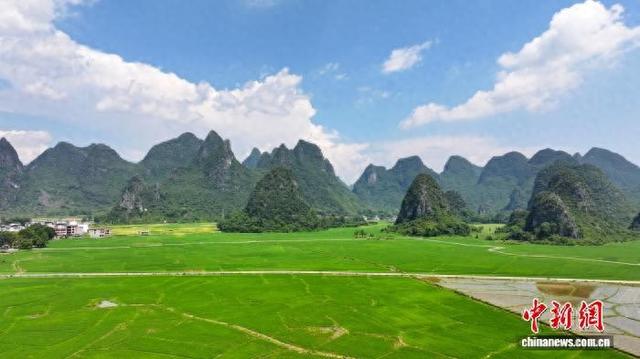 广西临桂：夏日田园风光别样青绿