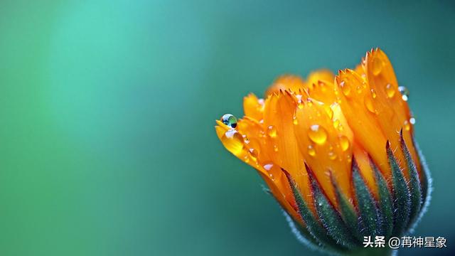 12月21日，星期日，白羊座，有事要来了！