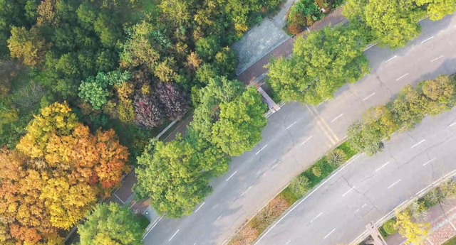 临潼人别宅啦！家门口这片小天地，藏着冬天最暖光景→