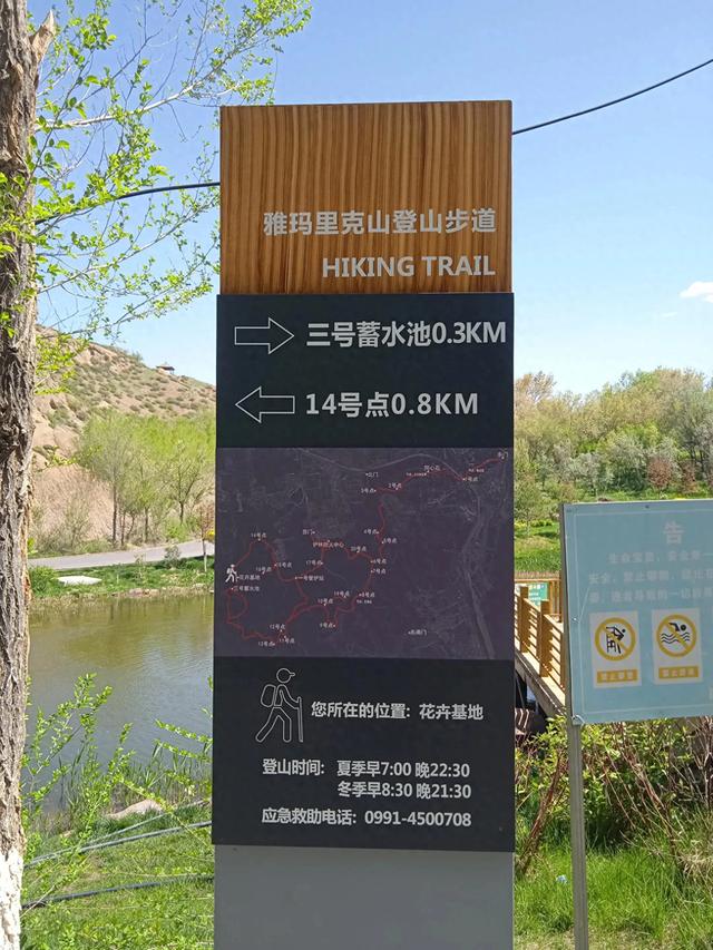 乌市雅山西边的湿地，登山步道14号打卡点，那里人少有大自然野趣