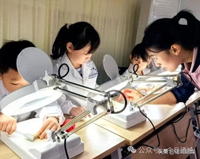 邀您亲手“修化石”？诸城这些文旅玩法真新鲜→