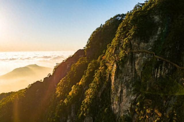 双十一不止买买买！明月山邀你开启天然氧吧之旅