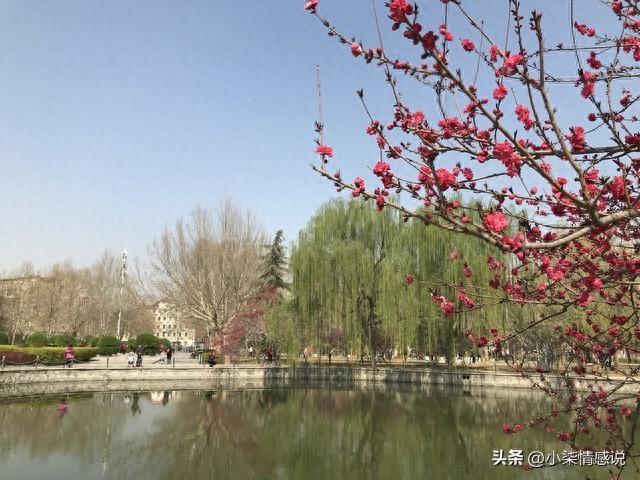 女人让你占这三种便宜，十有八九是喜欢上你了！​