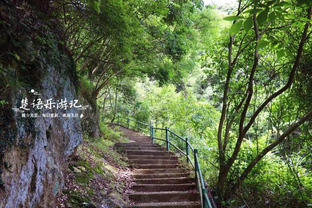 宁波北仑的虾蜡龙潭森林步道，龙潭双瀑藏于秘境，沿途风景都很美
