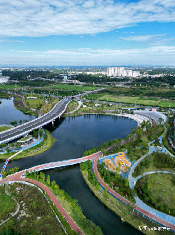 你好 东坡！| 太和公园：从生态绿洲到生活主场