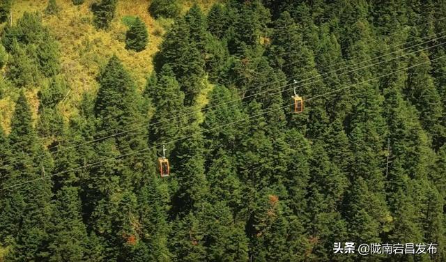 官鹅沟景区关于国庆假期景区门票预约预售的通告