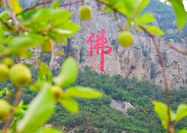 别再 “临时抱佛脚” 啦，来朝阳山，抱“佛”字