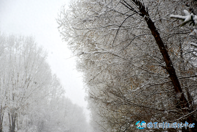 临夏：所有的蛰伏，都在等这一次苏醒