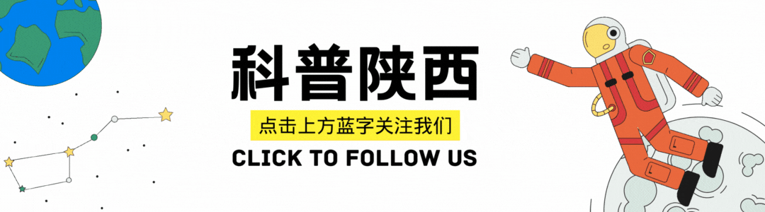 狗粮人能吃吗人能不能吃狗粮（单身狗可以吃狗粮吗）