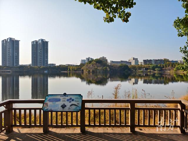 “自然+人文”双重体验拉满！广东新增34条特色自然教育径