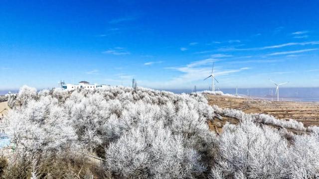 不用远赴北国！这里的雾凇如梦幻秘境