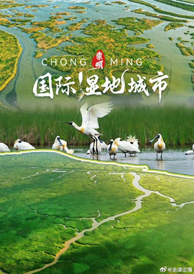 一组海报解锁国际认证的湿地天堂！