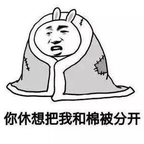 手机有电却自动关机是为何（天冷就掉电别急着换手机）