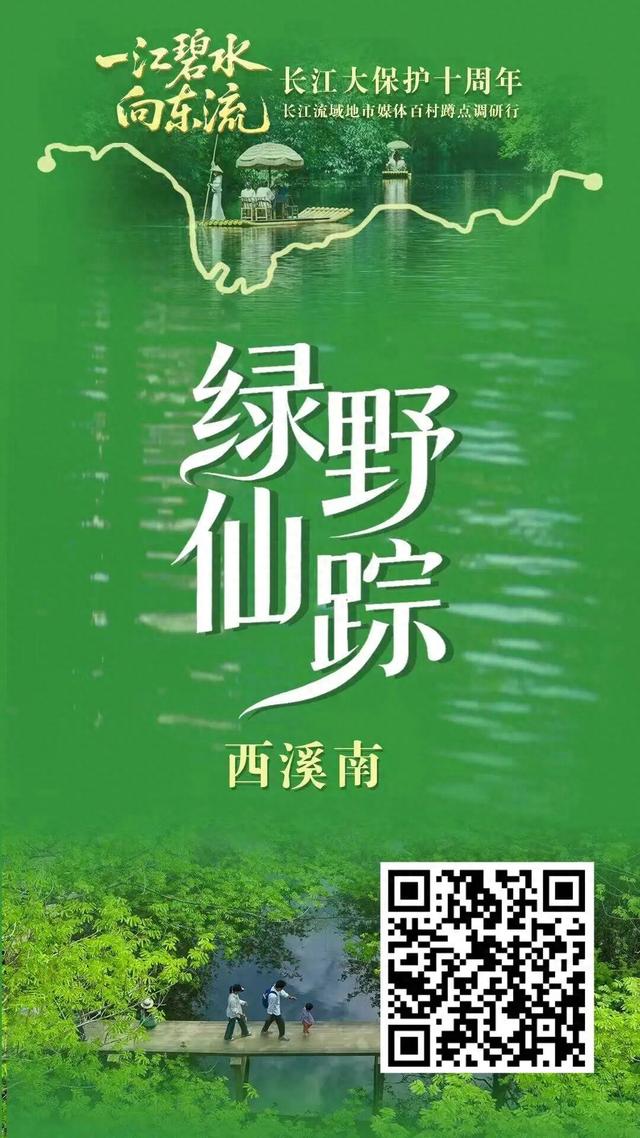 “绿野仙踪”西溪南