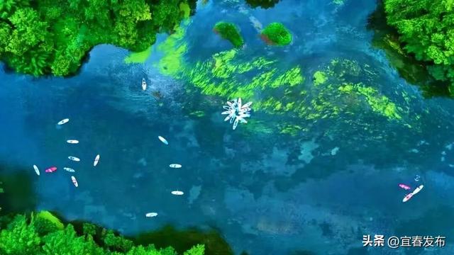 夏天不玩水＝白过！宜春一地这样“玩”…