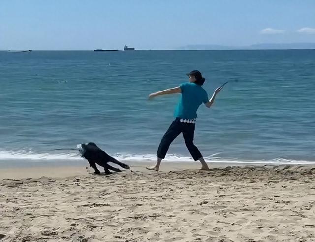 65岁郎平在美国定居，穿拖鞋，在海边遛狗，女儿打扮朴素很懂事