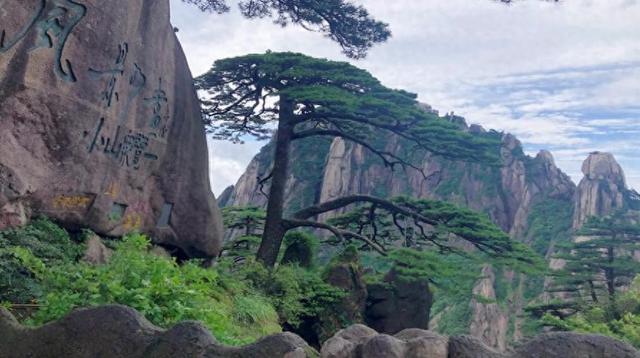 我逼儿媳生二胎，她直接搬回娘家	，儿子的一番话，让我彻底醒悟