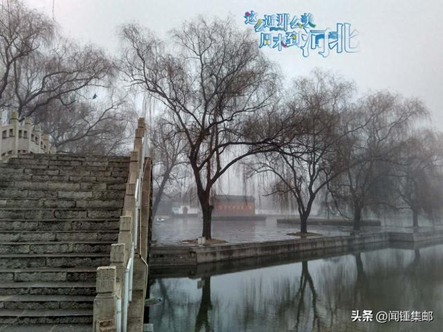 彝文传韵茶花香